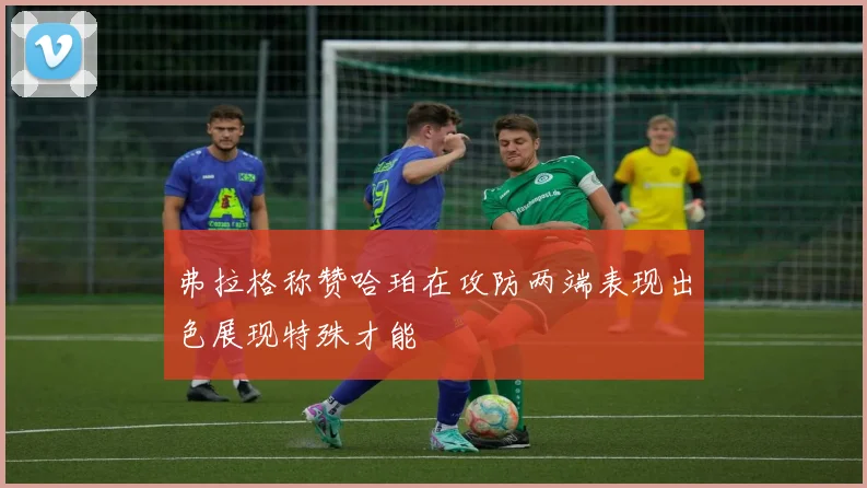 弗拉格称赞哈珀在攻防两端表现出色展现特殊才能